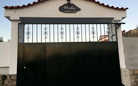 9Arches